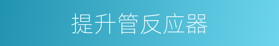 提升管反应器的同义词