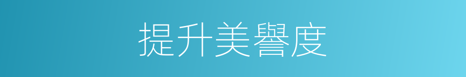 提升美譽度的同義詞