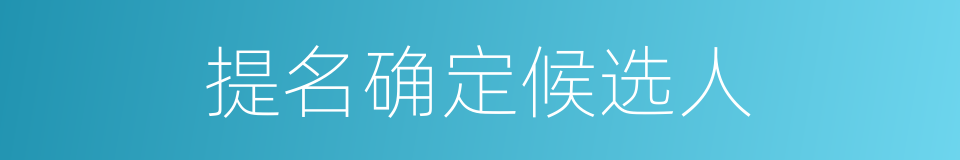 提名确定候选人的同义词