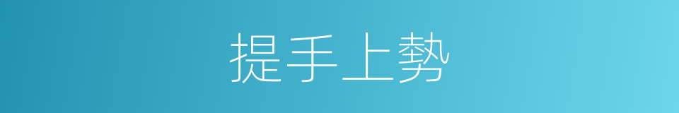 提手上勢的意思