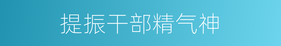 提振干部精气神的同义词