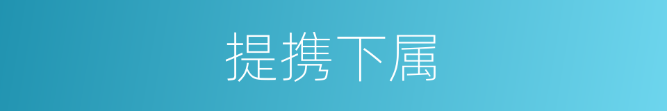 提携下属的同义词