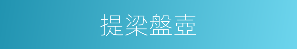 提梁盤壺的同義詞