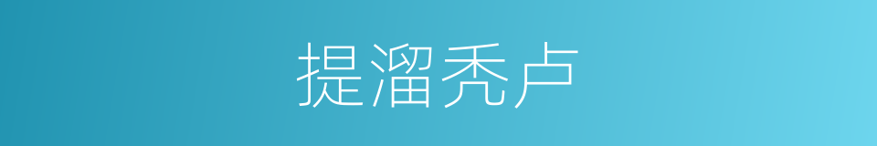 提溜秃卢的意思