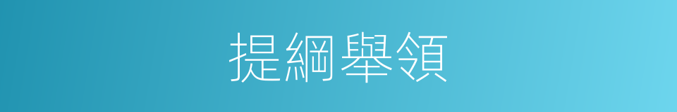 提綱舉領的意思