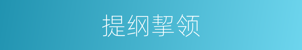 提纲挈领的意思