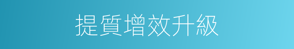 提質增效升級的同義詞