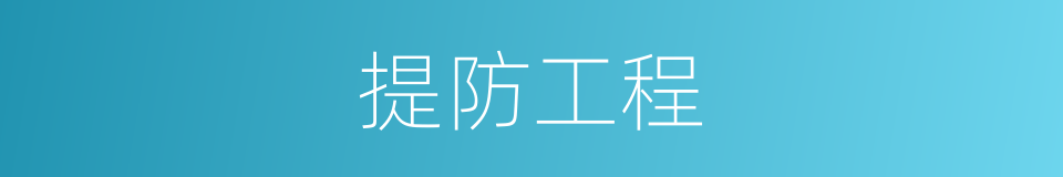 提防工程的同义词