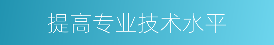 提高专业技术水平的同义词