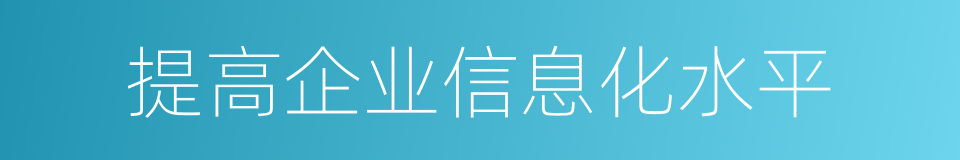 提高企业信息化水平的同义词