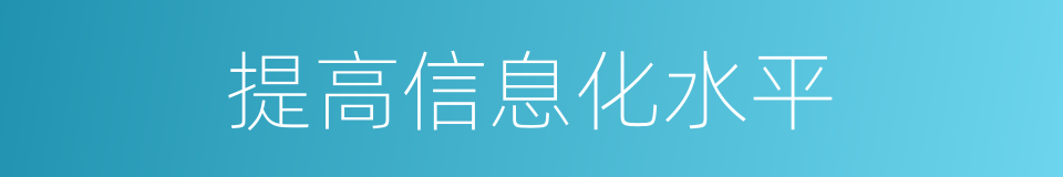 提高信息化水平的同义词