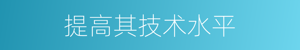 提高其技术水平的同义词