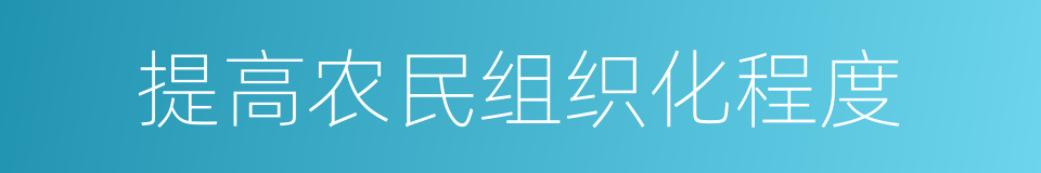 提高农民组织化程度的同义词