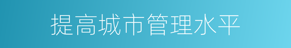 提高城市管理水平的同义词