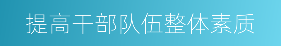 提高干部队伍整体素质的同义词