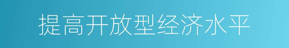 提高开放型经济水平的同义词