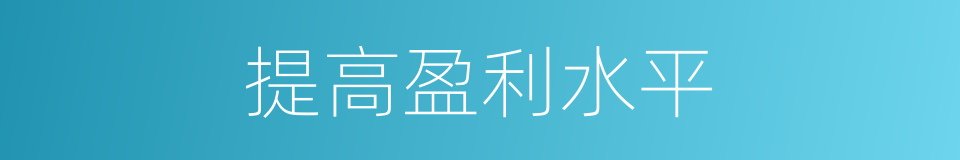 提高盈利水平的同义词