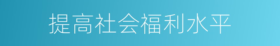 提高社会福利水平的同义词