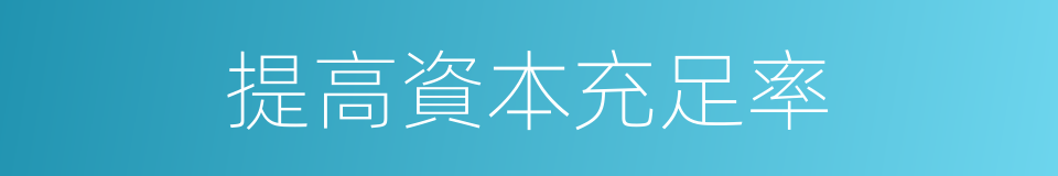 提高資本充足率的同義詞