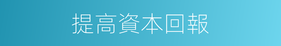 提高資本回報的同義詞