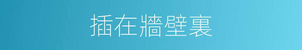 插在牆壁裏的同義詞