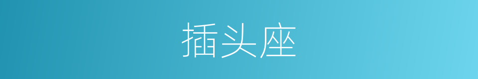 插头座的同义词