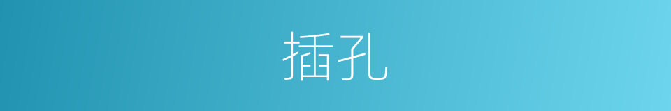 插孔的意思
