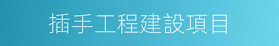 插手工程建設項目的同義詞