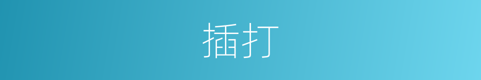 插打的意思