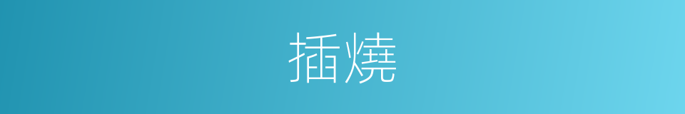 插燒的意思