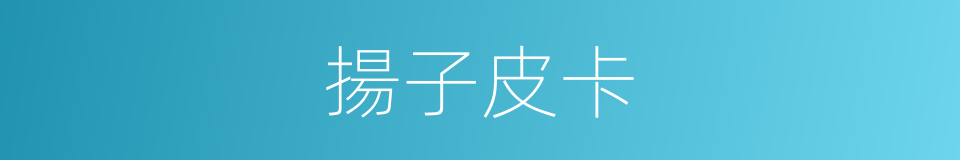 揚子皮卡的同義詞