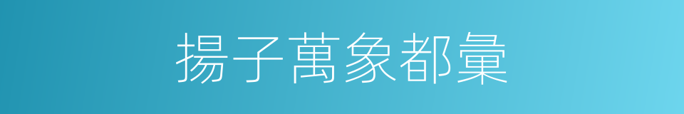 揚子萬象都彙的同義詞