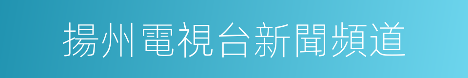 揚州電視台新聞頻道的同義詞