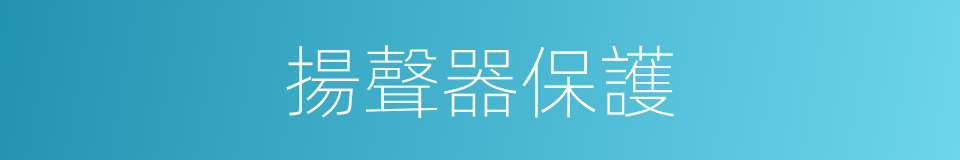 揚聲器保護的同義詞