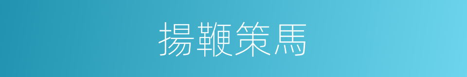 揚鞭策馬的同義詞