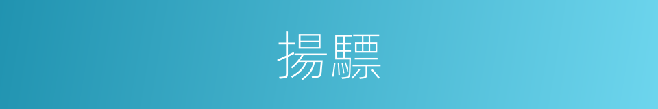 揚驃的同義詞