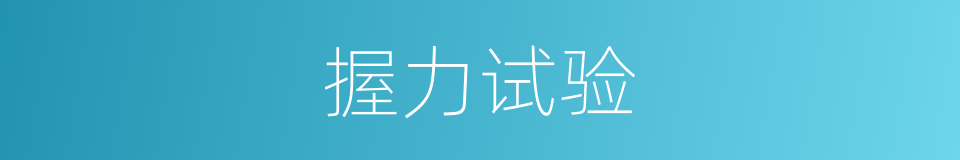 握力试验的同义词