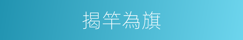 揭竿為旗的意思