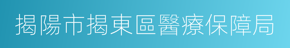 揭陽市揭東區醫療保障局的同義詞