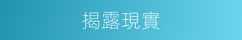 揭露現實的意思