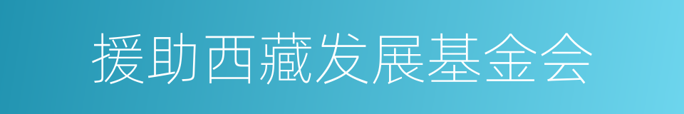 援助西藏发展基金会的同义词