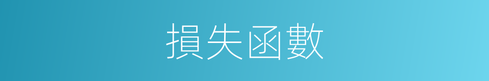 損失函數的同義詞