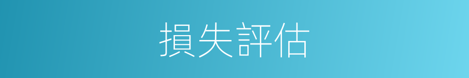 損失評估的同義詞