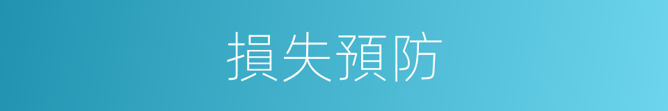 損失預防的同義詞