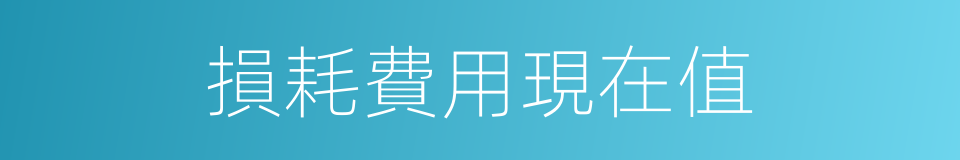 損耗費用現在值的同義詞
