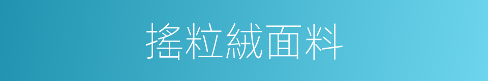 搖粒絨面料的同義詞