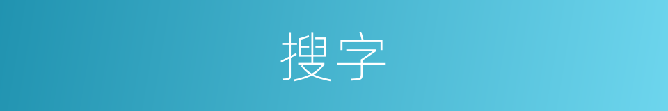搜字的意思