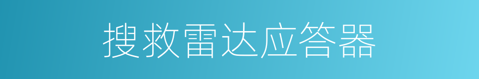 搜救雷达应答器的同义词