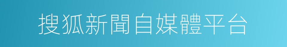 搜狐新聞自媒體平台的同義詞