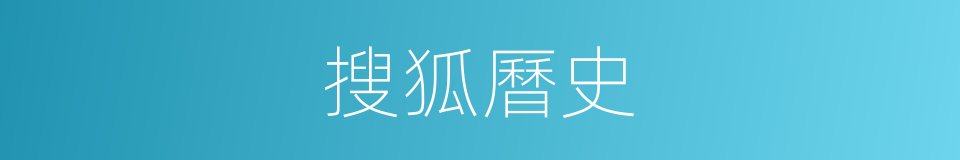 搜狐曆史的同義詞